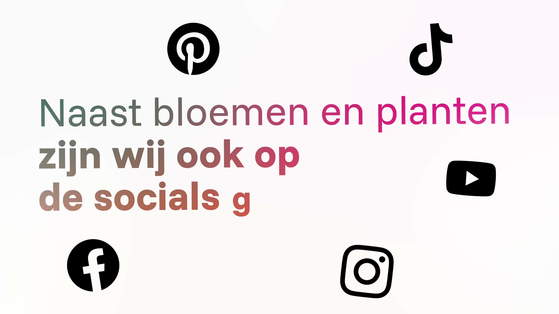 Plants and Flowers Foundation Holland — Visueel Jaaroverzicht